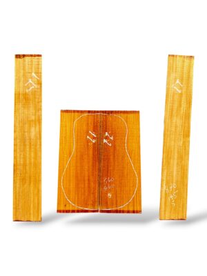Indian Mahogany