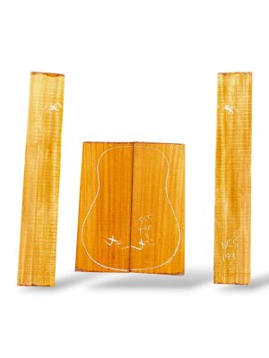 Indian Mahogany