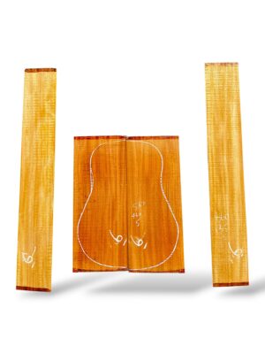 Indian Mahogany