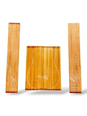 Indian Mahogany