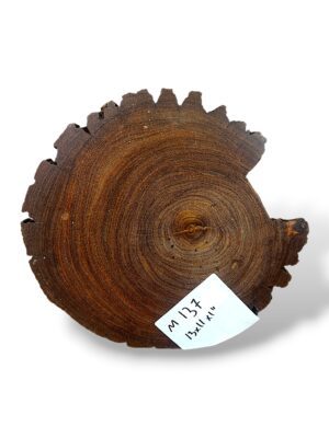 Mango Crosscut