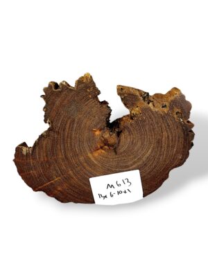 Mango Crosscut