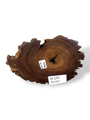 Mango Crosscut