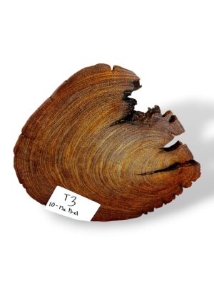 Mango Crosscut