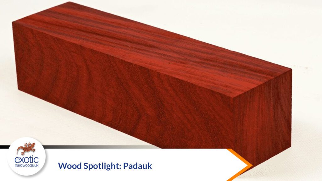 Wood Spotlight: Padauk - Exotic Hardwoods UK LTD