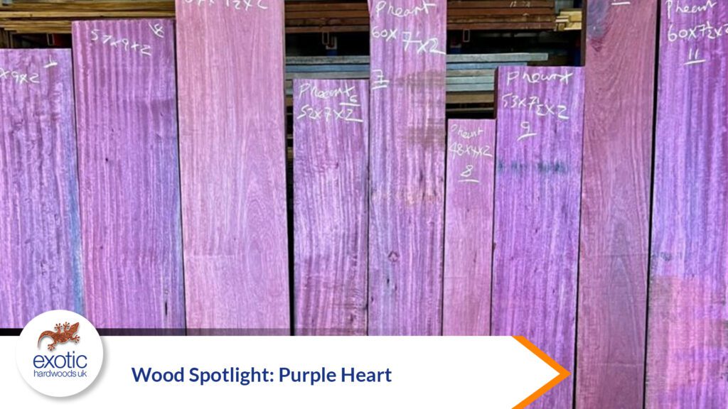 Wood Spotlight: Purple Heart - Exotic Hardwoods UK LTD