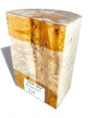 Masur Birch