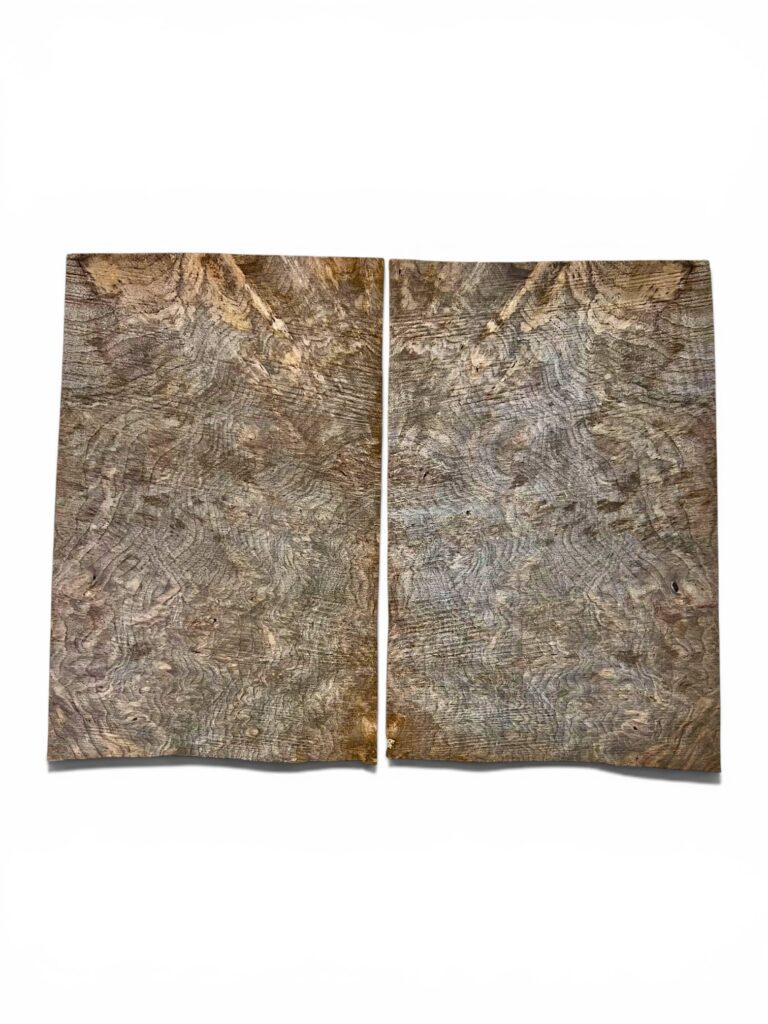 English Walnut