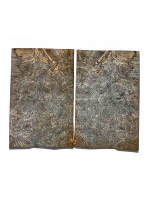English Walnut