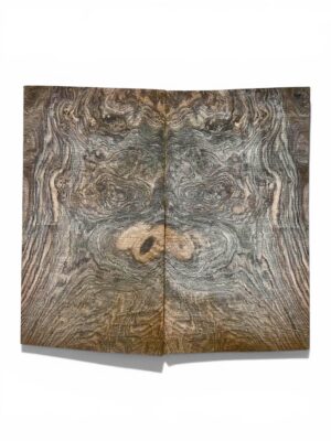 English Walnut