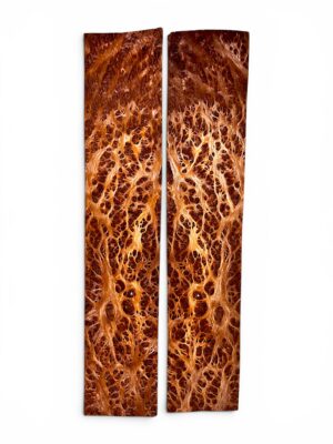 Vavona Burr