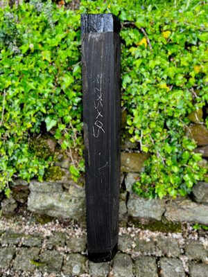 ebony