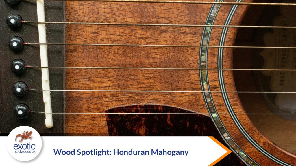 Wood Spotlight: Honduran Mahogany - Exotic Hardwoods UK