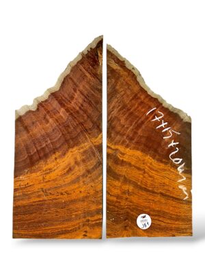 Jarrah Burr