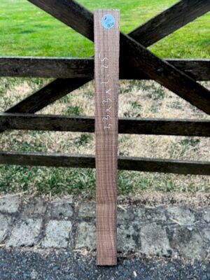 walnut