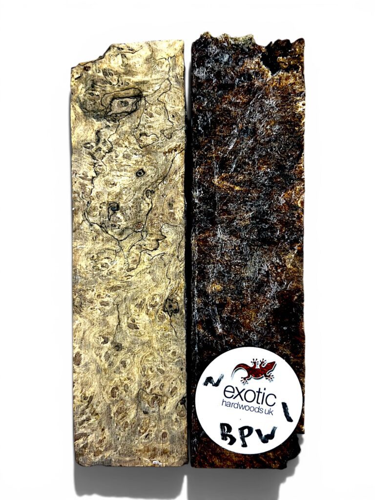 Stabilised Black Poisonwood