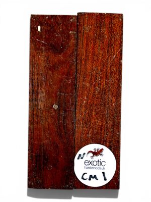 Camel Thorn