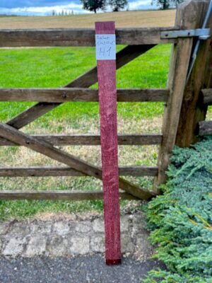 Purpleheart