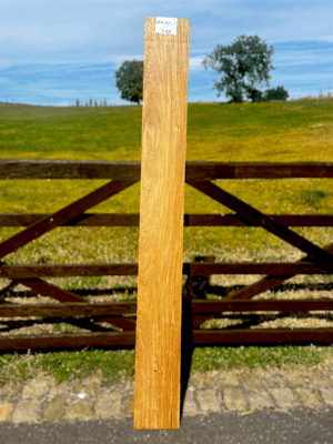 Mango Lumber 77.25"x8.5"x1" - Kiln dried C23