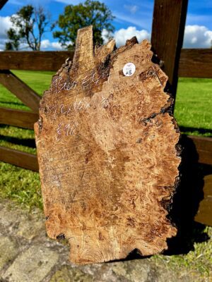 Burr Elm - 22"x16"x1.5" approx - A8