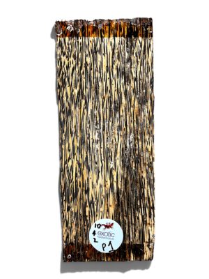 Palmwood