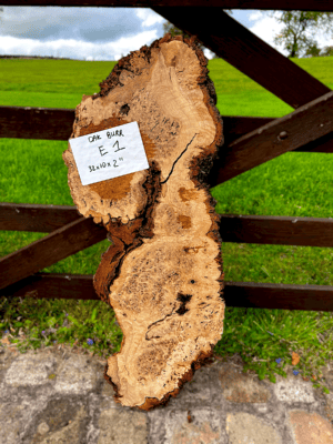 Burr Oak 32"x10x2" approx - E1 ( wormy )