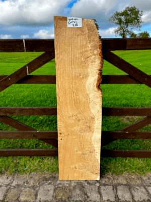 Burr Oak 52"x14"x1" approx  - E128