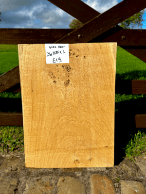 Burr Oak