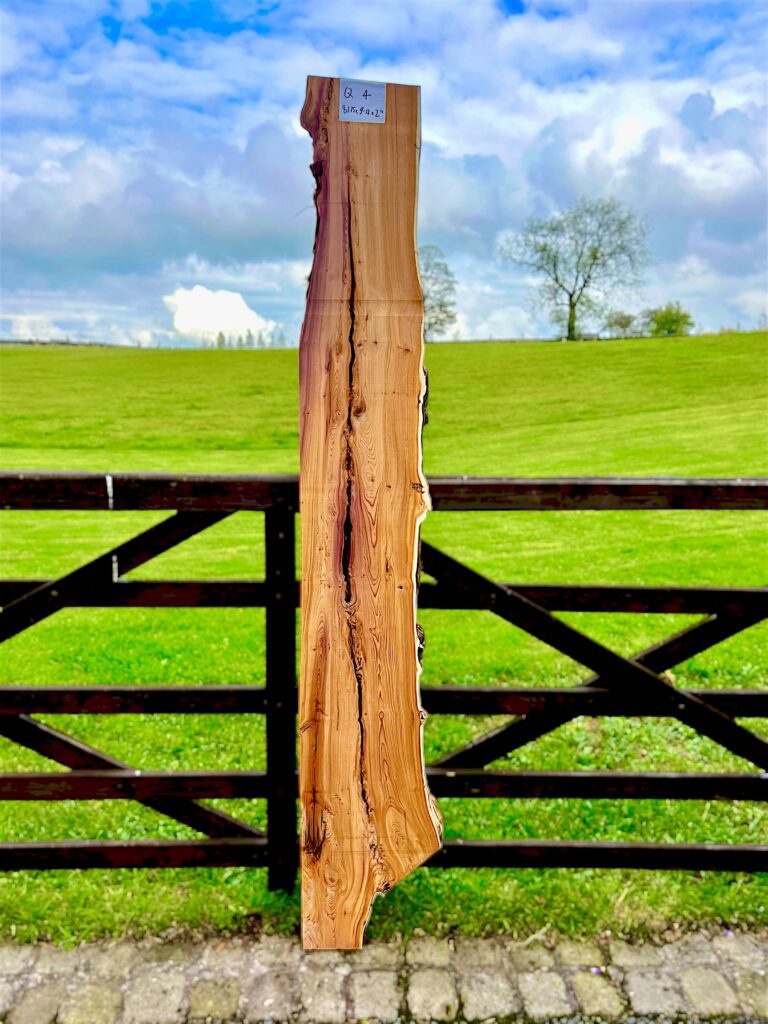 yew
