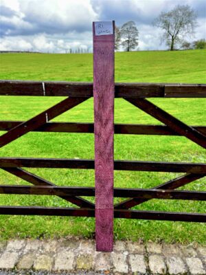 purpleheart