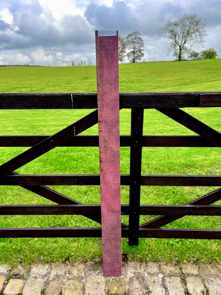 purpleheart