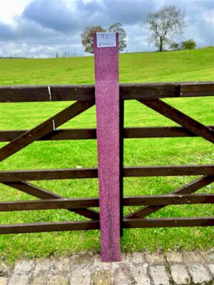 purpleheart
