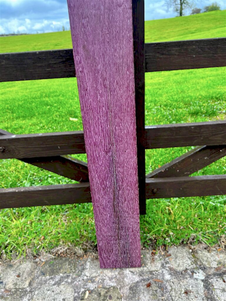 purpleheart