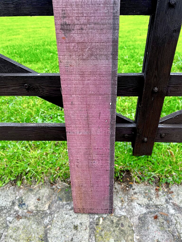 purpleheart