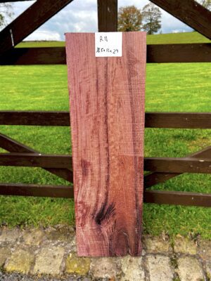 purpleheart