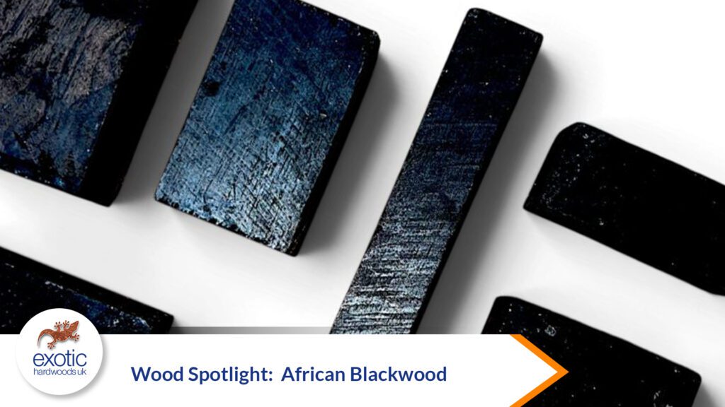 Wood Spotlight: African Blackwood