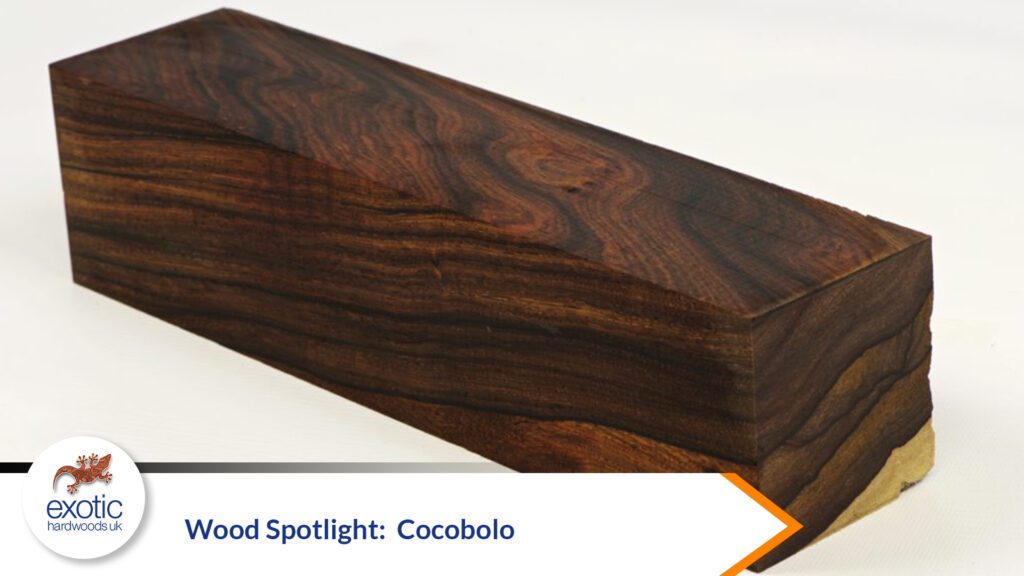 Wood Spotlight: Cocobolo